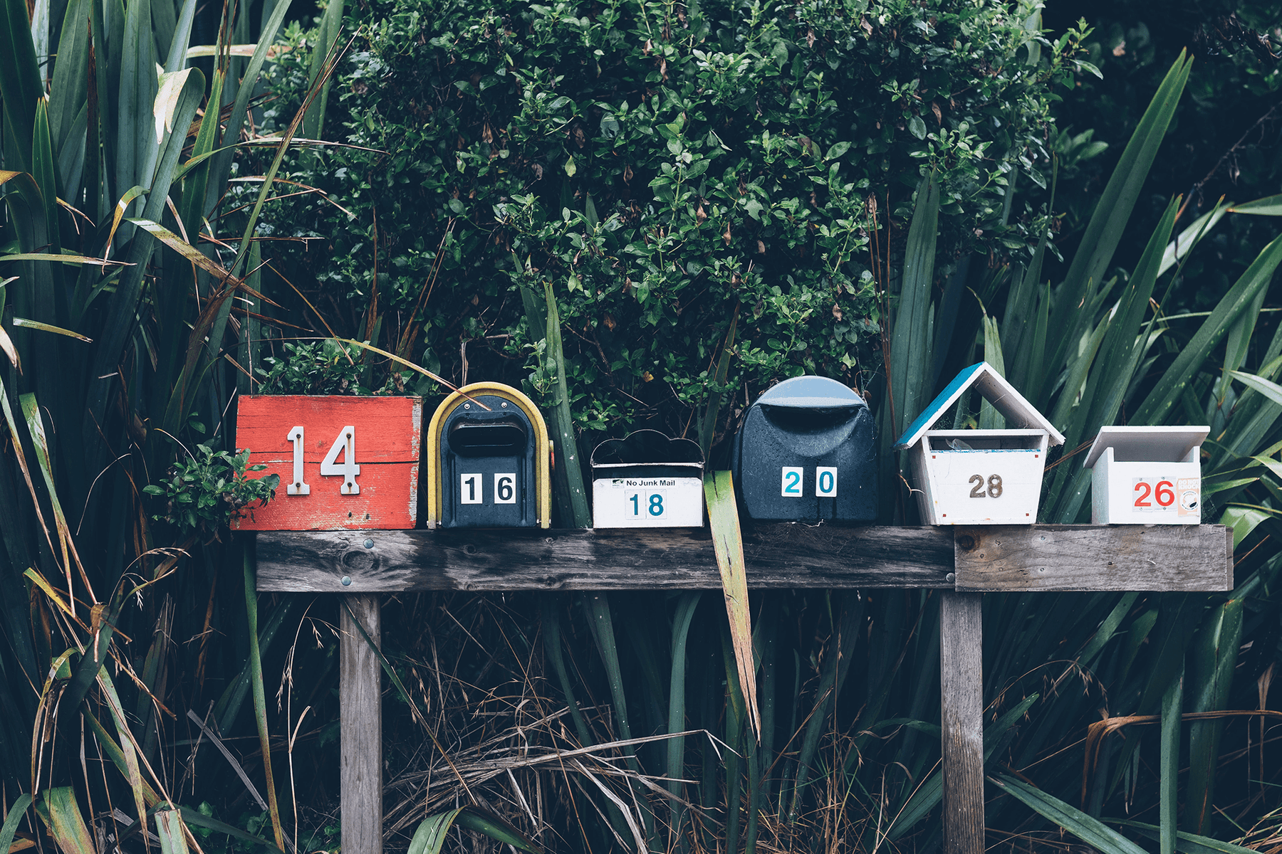 Darum sollten Sie Newsletter-Marketing nutzen